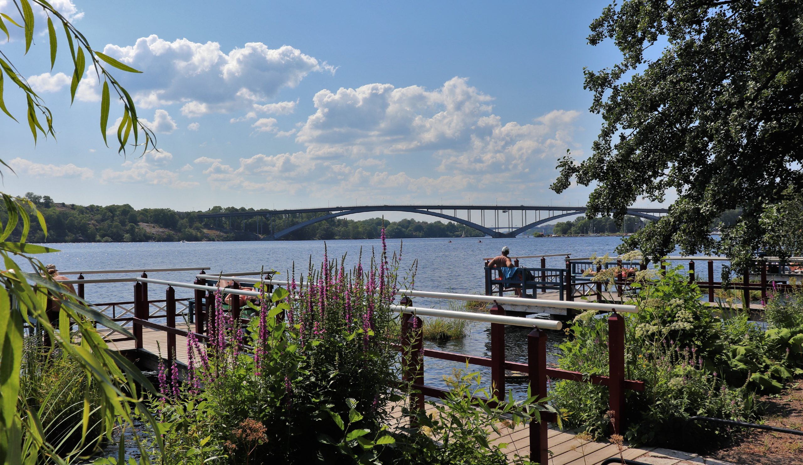 Utsikt från Norr Mälarstrand med vatten, växtlighet och en person vid brygga, samt Västerbron i bakgrunden